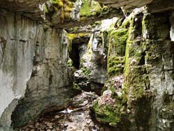 The main entrance to Hendries River cave on the MKC's Fiborn Preserve, an example of Michigan's karst features.